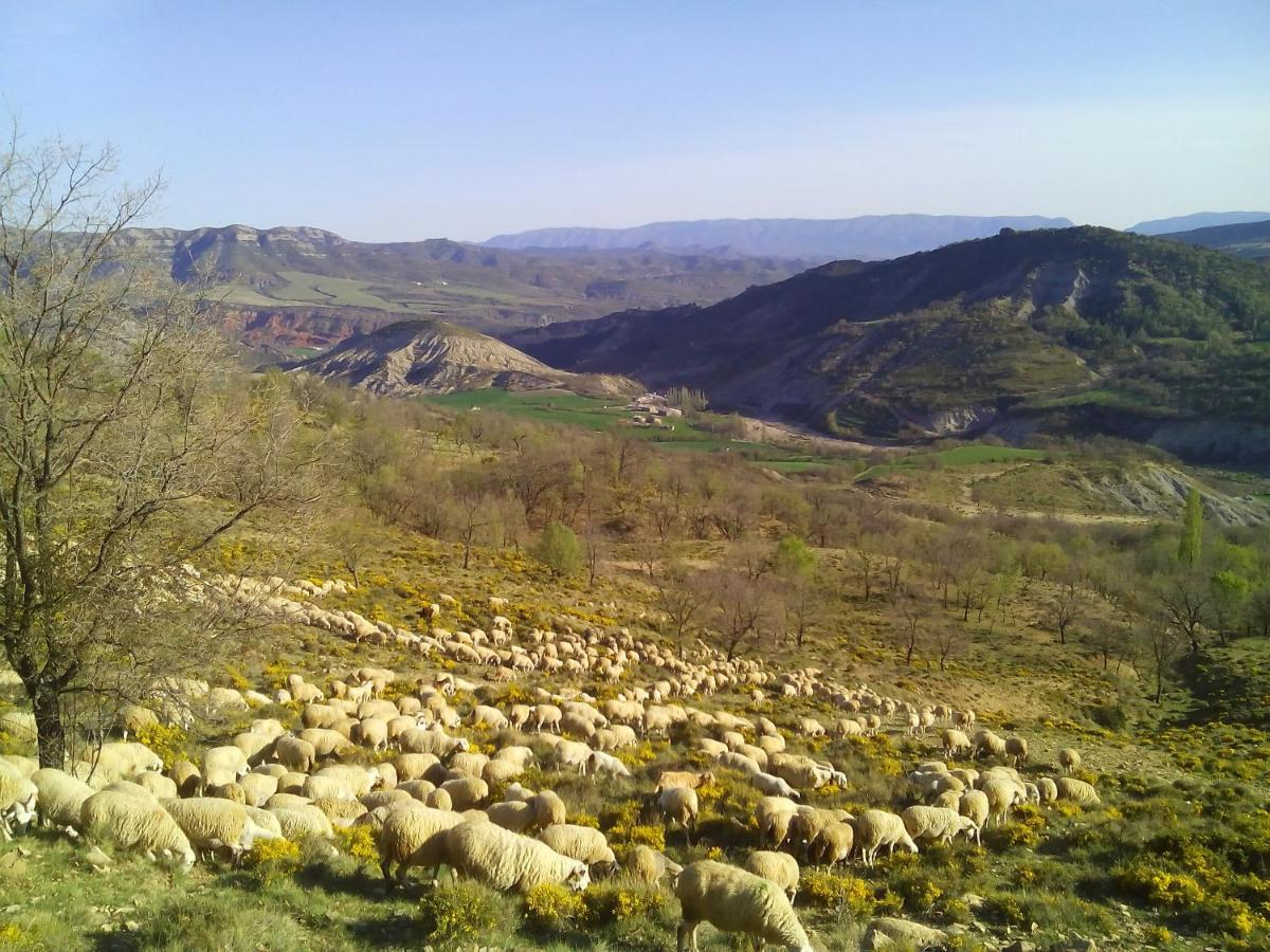 Casa Bernat Βίλα Aren Εξωτερικό φωτογραφία